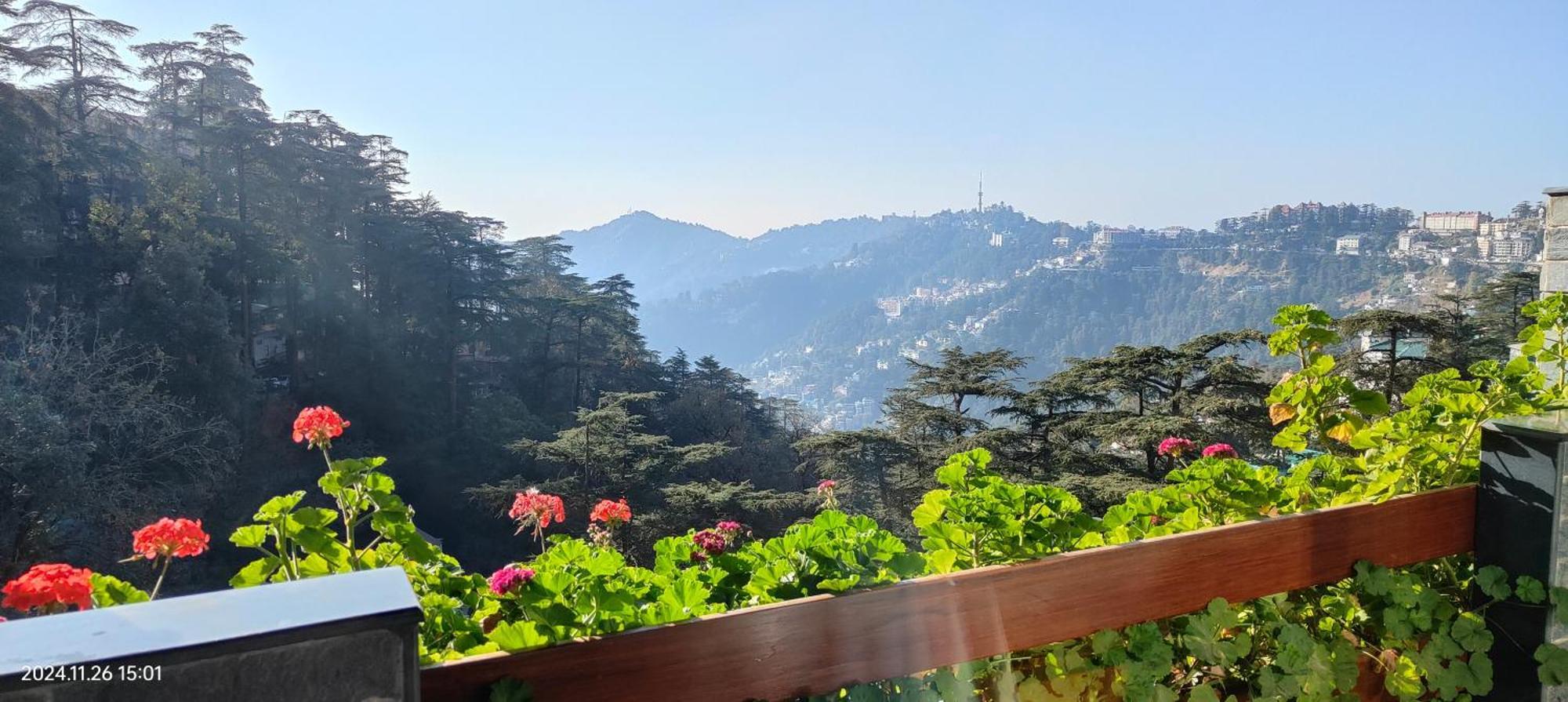 Marina- Shimla First Designer Boutique Hotel Dış mekan fotoğraf